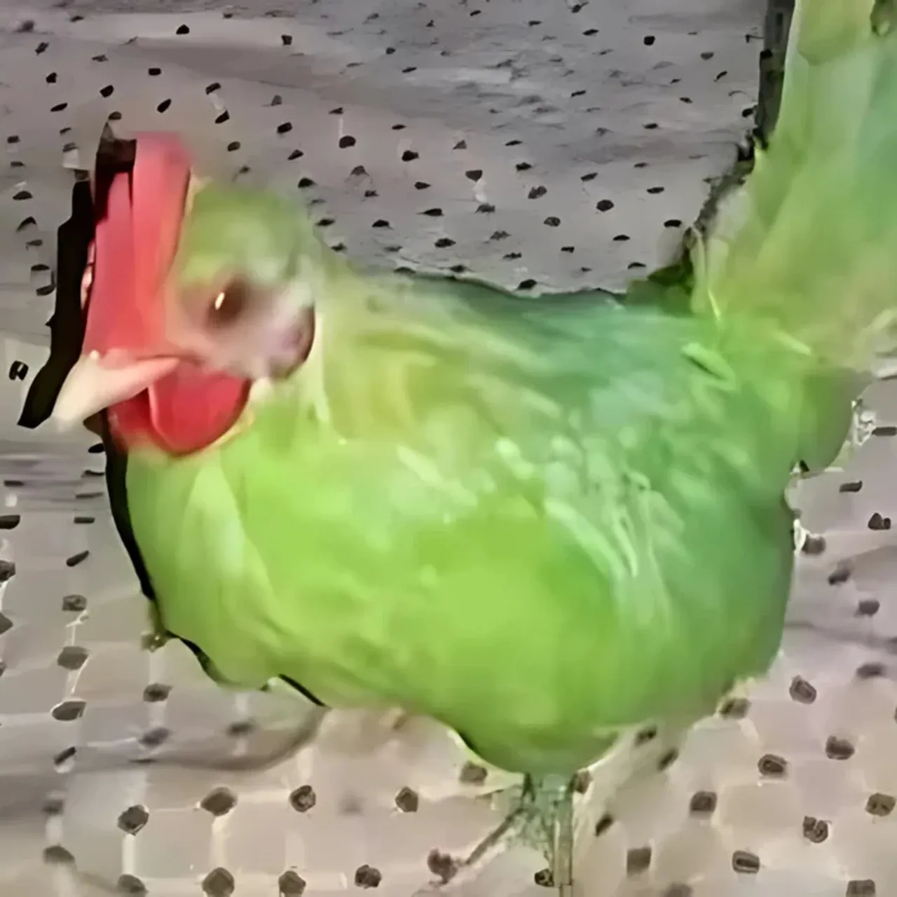 Friend